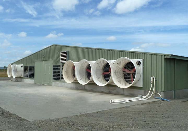 钢结构养鸡场-2