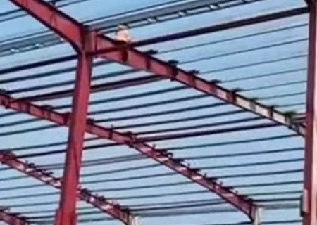 钢结构车间安装视频